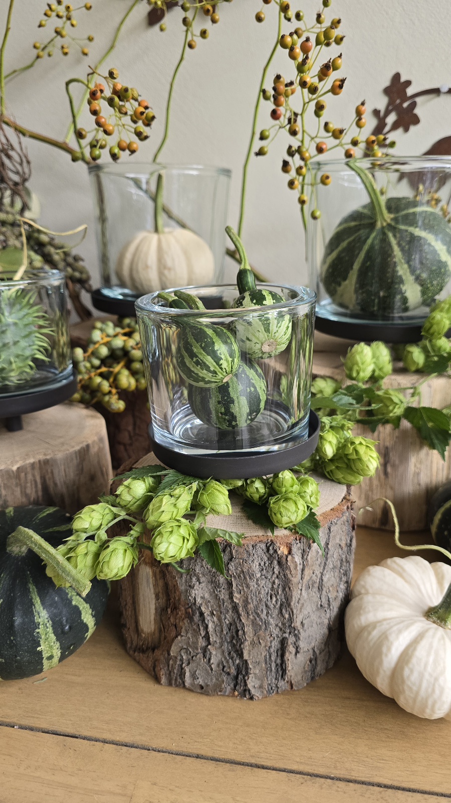 Hopfen frisch – Bild 4