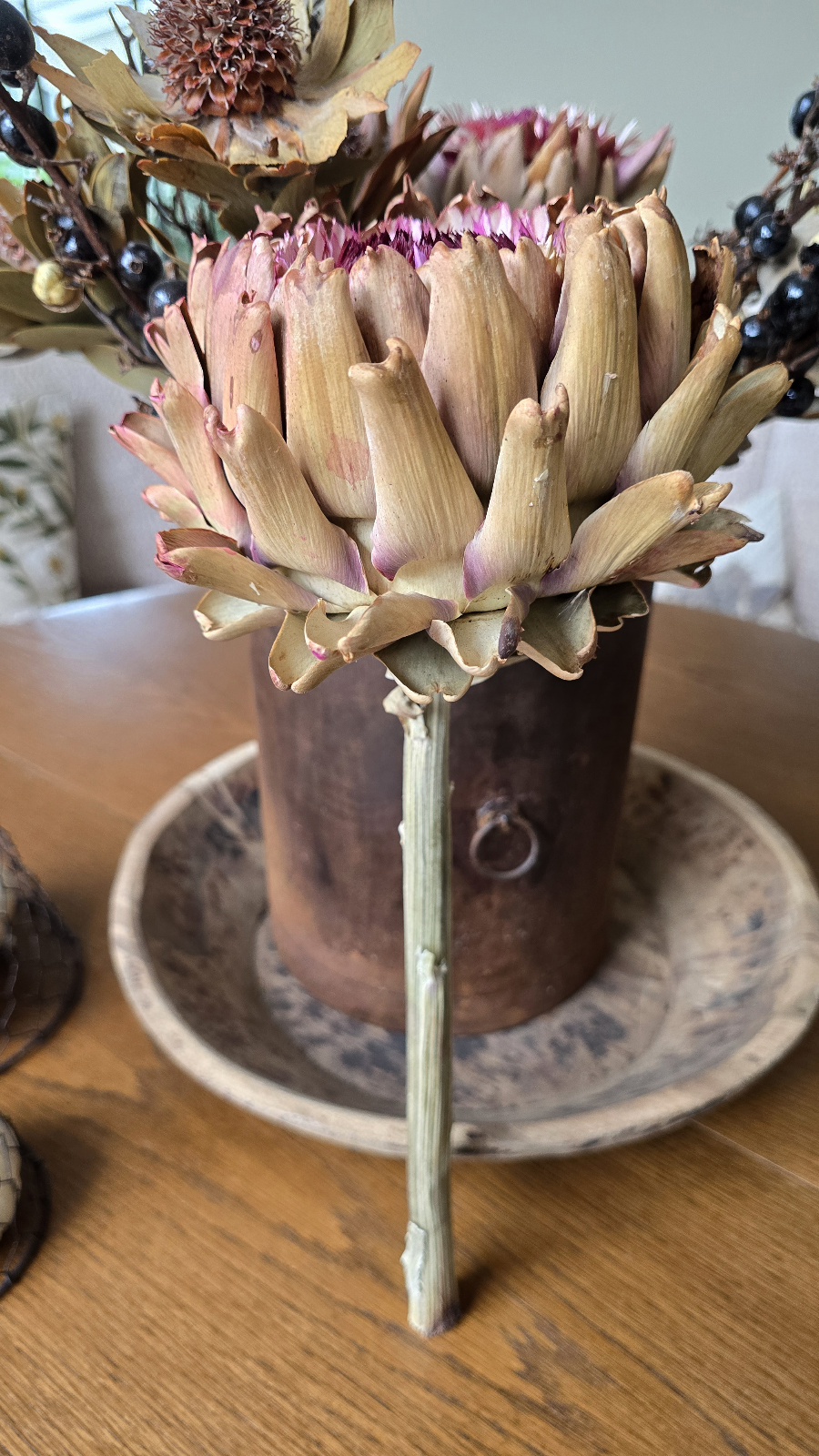 Große Artischockenblüte getrocknet – Bild 2