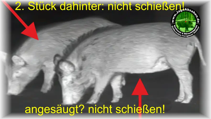 TFA2.0/TFA2.8 SL-Basis/Professional-SorglosPaket-Wärmebildvorsatzgerät-Plug & Play – Bild 7