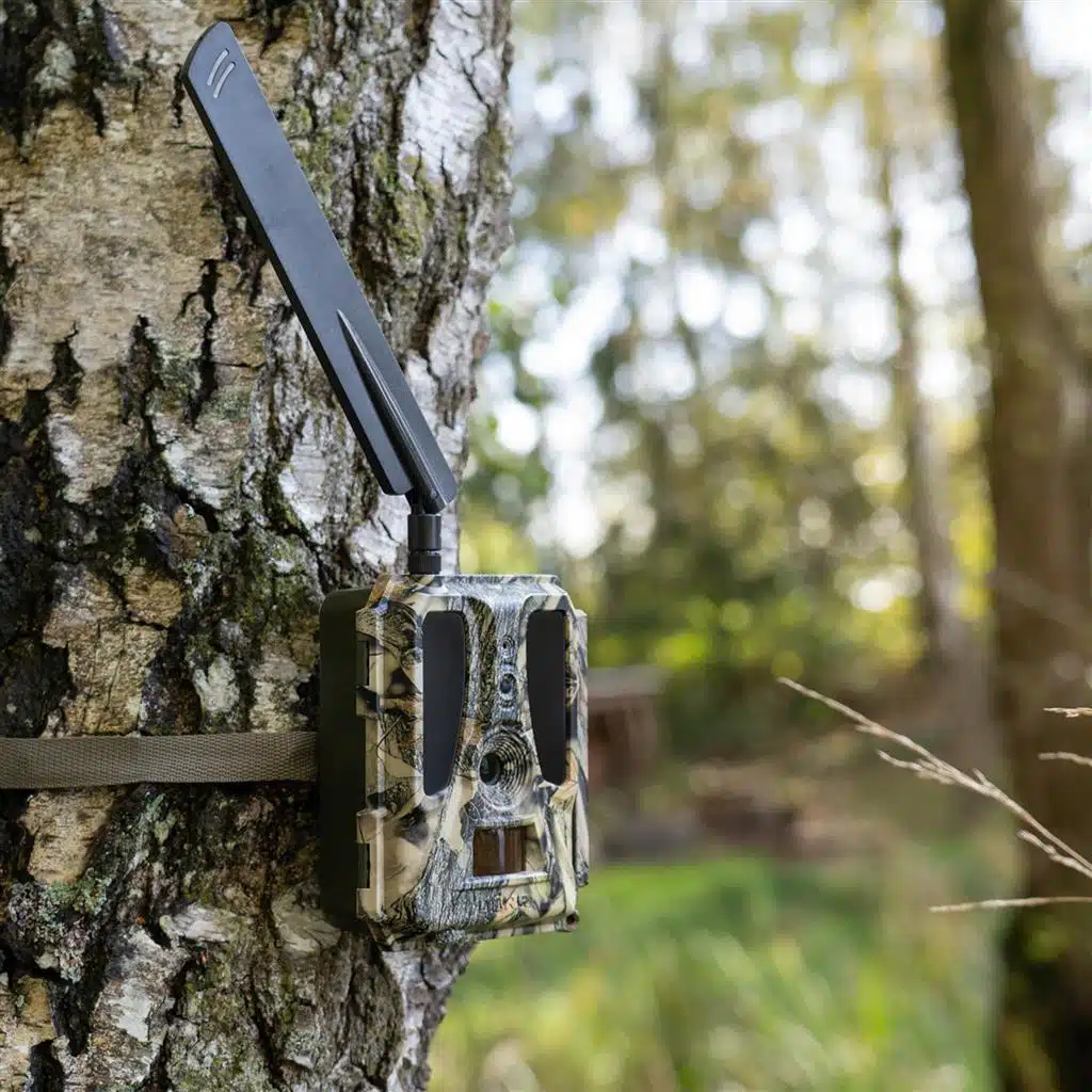 DÖRR 24M SNAPSHOT CLOUD 4G PRO Wildkamera Infrarotblitz 20m-100°-HD-Nachtsicht – Bild 7