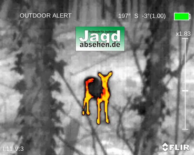 Wärmebildkamera FLIR Breach PTQ136 Sofortstart-Set von Jagdabsehen – Bild 8