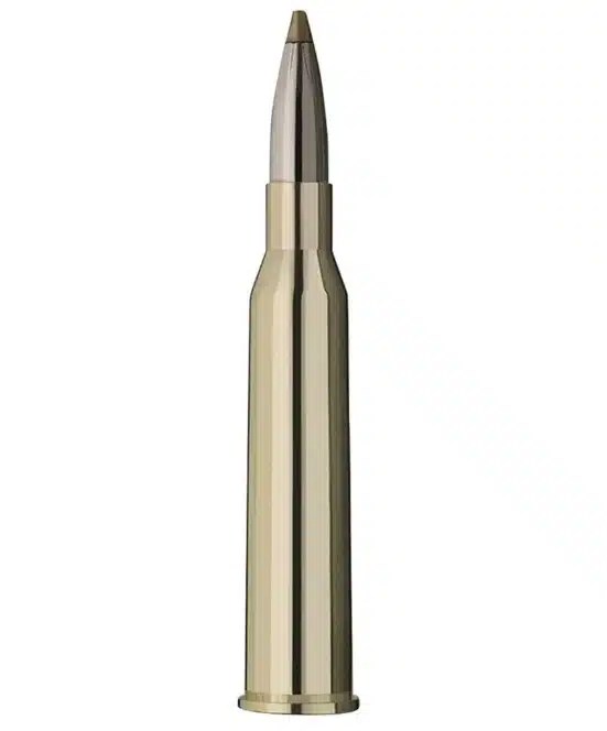 RWS 6,5×57 R Evo Green 6,0g/93grs bleifreie Jagdmunition – Bild 2