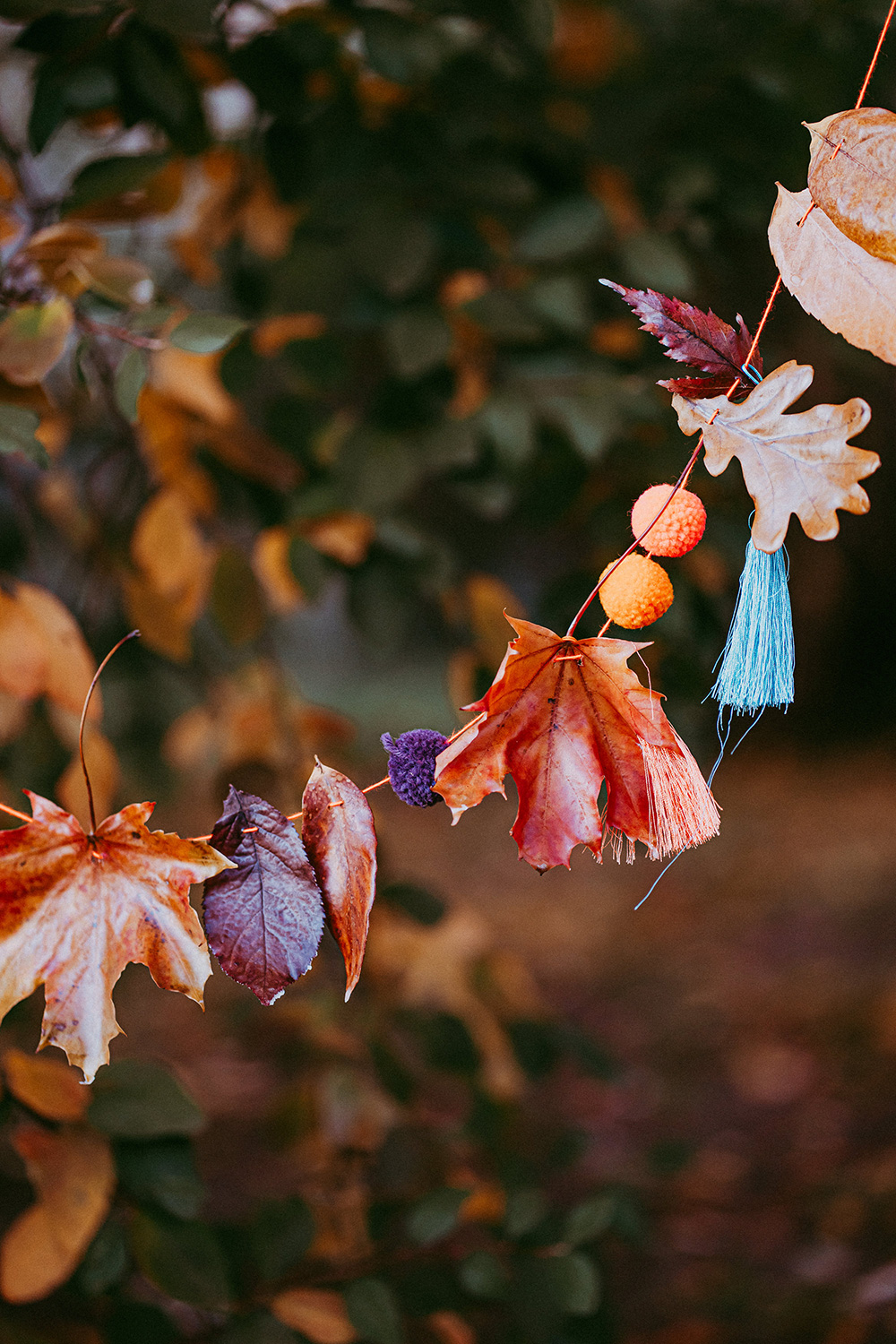 Bienenwachspastillen 1 kg – Bild 6